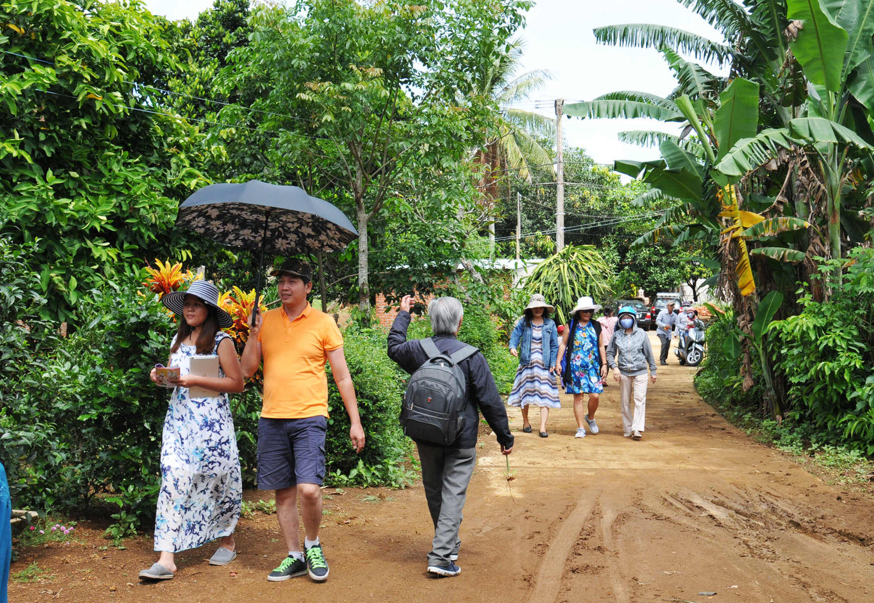 Đi Phú Yên ngắm vườn cây đỏ, ăn trái đỏ chua lè lưỡi - Ảnh 10. Đi Phú Yên ngắm vườn cây đỏ, ăn trái đỏ chua lè lưỡi
