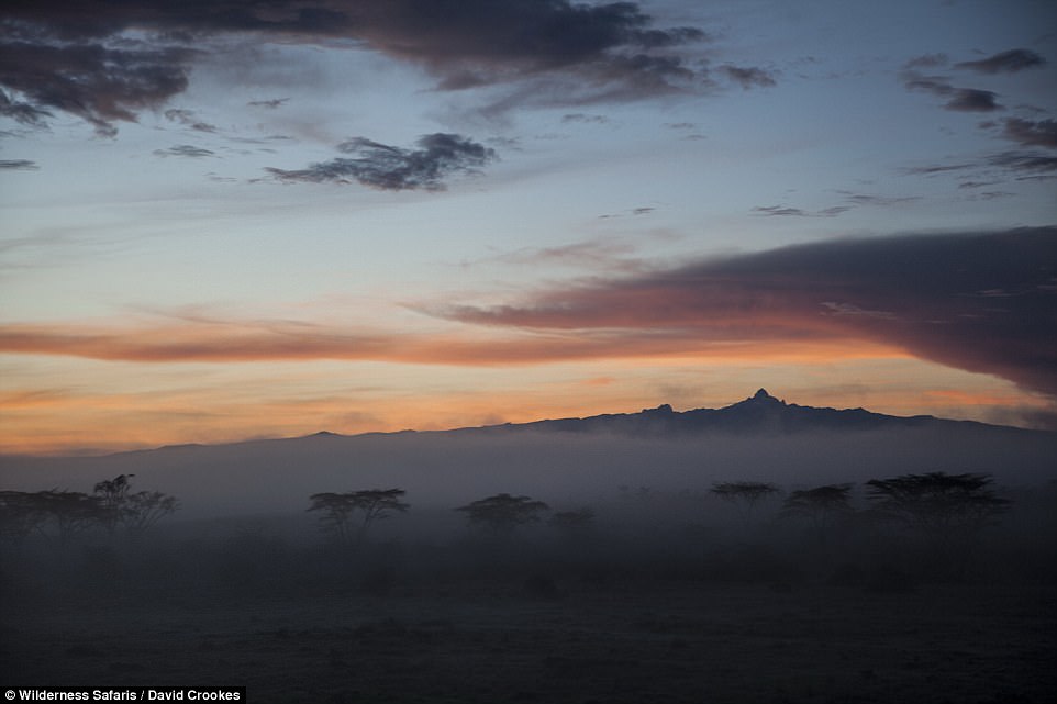 Ở khách sạn độc đáo làm bằng cành cây - Ảnh 1. Ở khách sạn độc đáo làm bằng cành cây