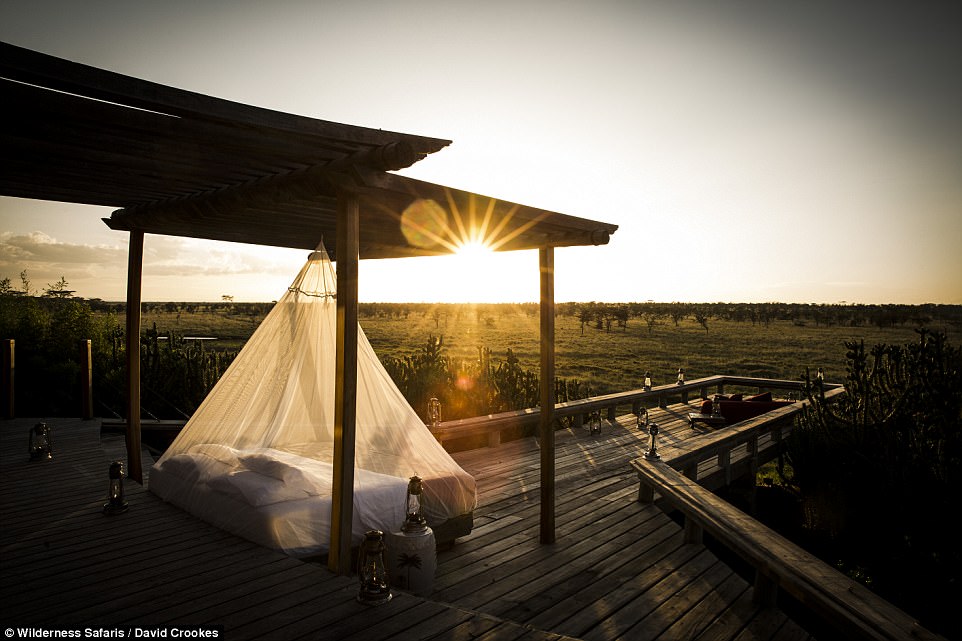 Ở khách sạn độc đáo làm bằng cành cây - Ảnh 4. Ở khách sạn độc đáo làm bằng cành cây