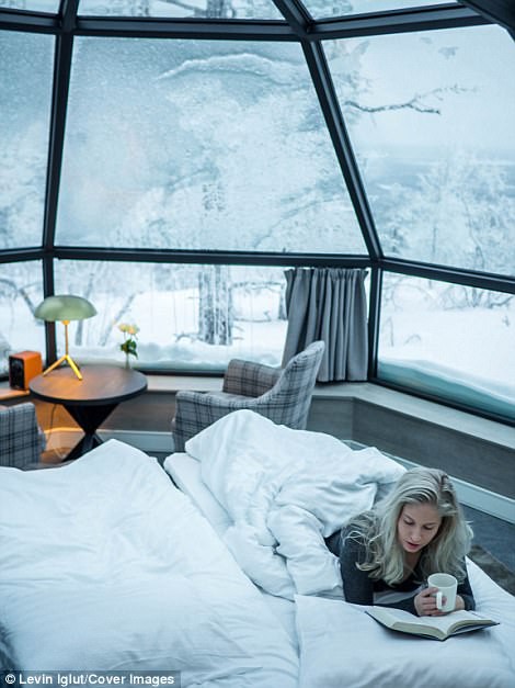 Ghé Phần Lan ngắm cực quang trong lều tuyết bằng kính - Ảnh 4.