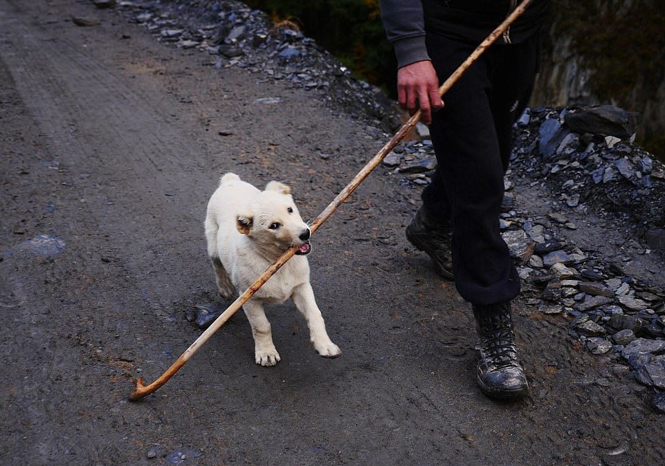 Hành trình vượt đèo tử thần của những đàn ông gan dạ và đàn cừu khổng lồ - Ảnh 7. Hành trình vượt đèo tử thần của những đàn ông gan dạ và đàn cừu khổng lồ