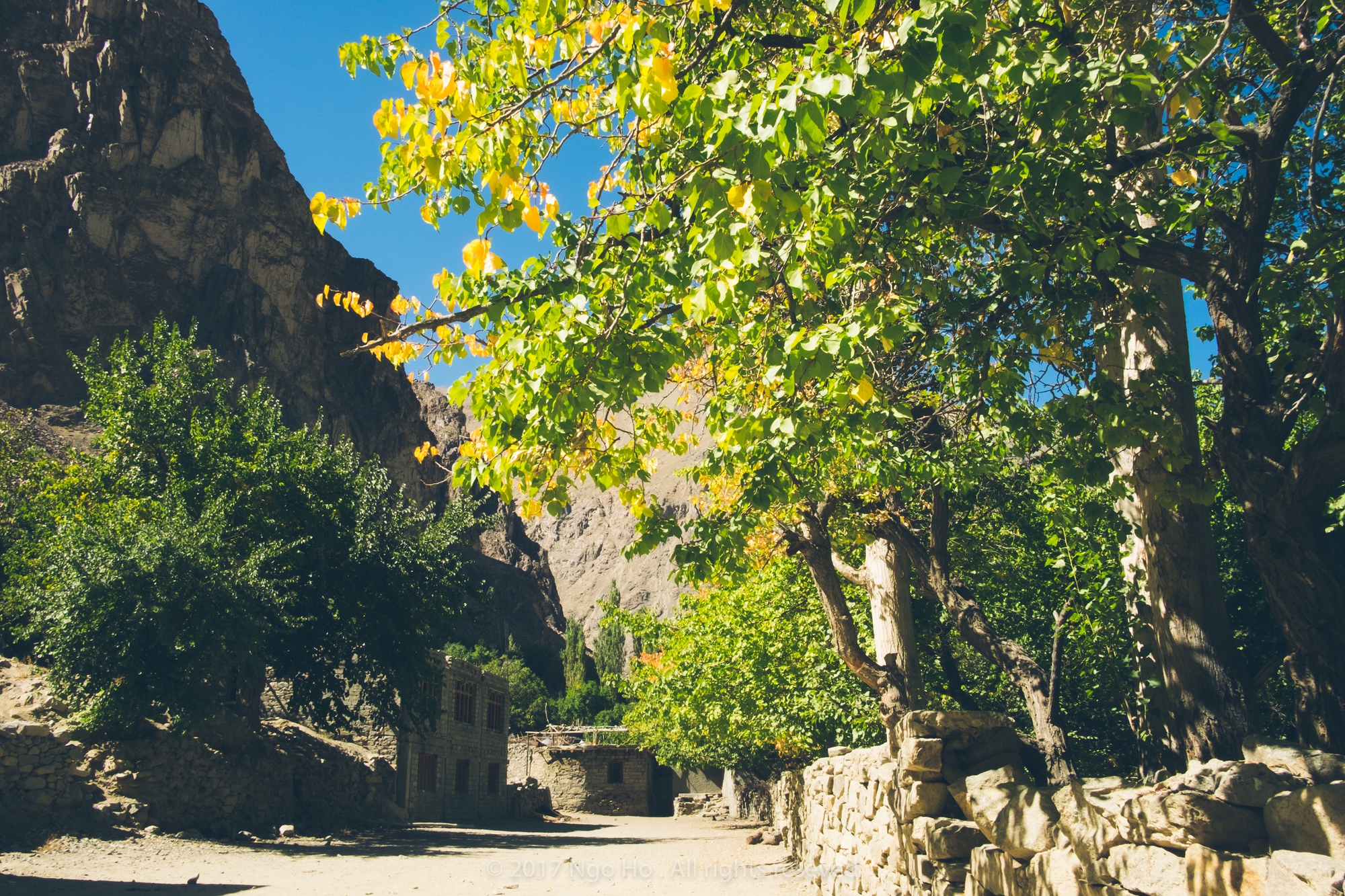 Turtuk - nét đẹp của ngôi làng nằm giữa biên giới Ấn Độ - Pakistan - Ảnh 5. Turtuk - nét đẹp của ngôi làng nằm giữa biên giới Ấn Độ - Pakistan