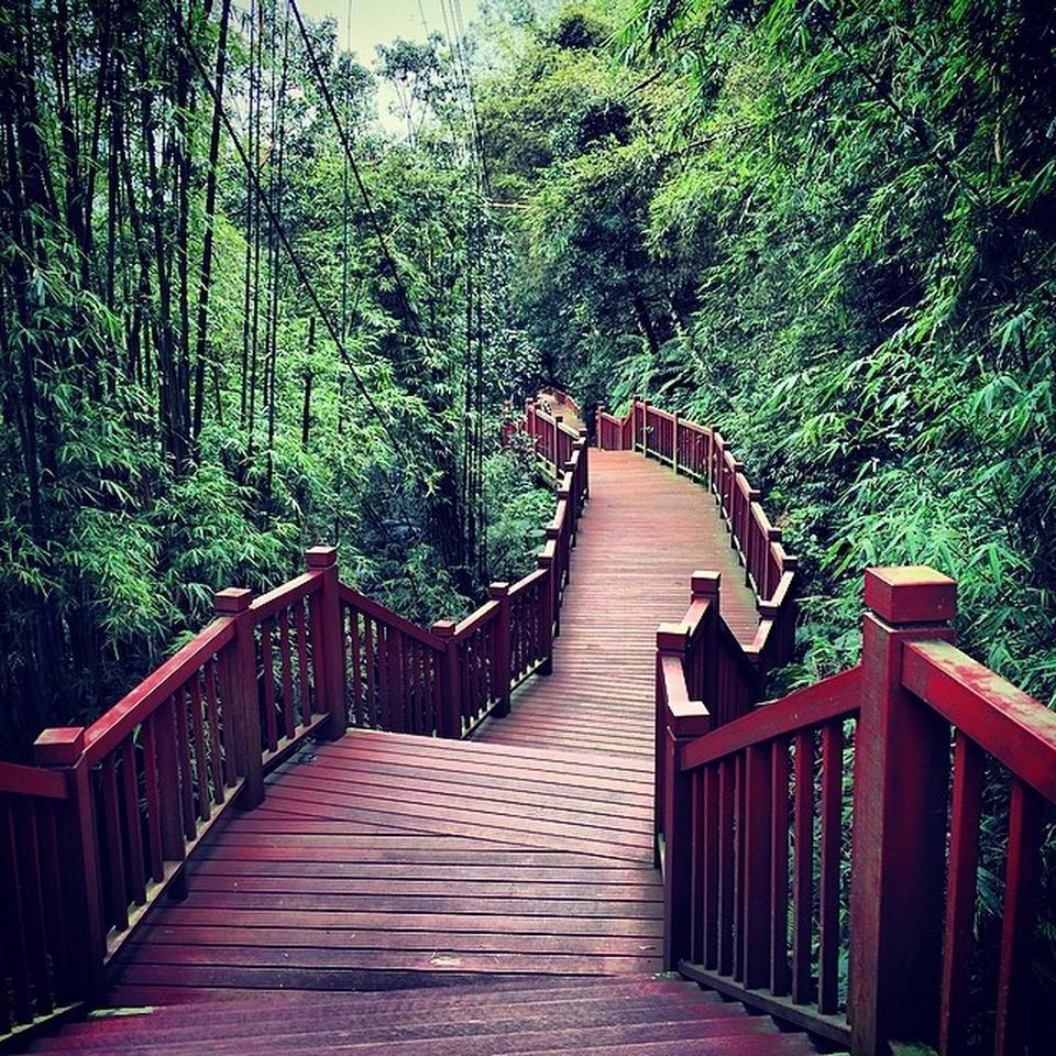 10 lý do để bạn vi vu ở Đài Loan - Ảnh 8. 10 lý do để bạn vi vu ở Đài Loan