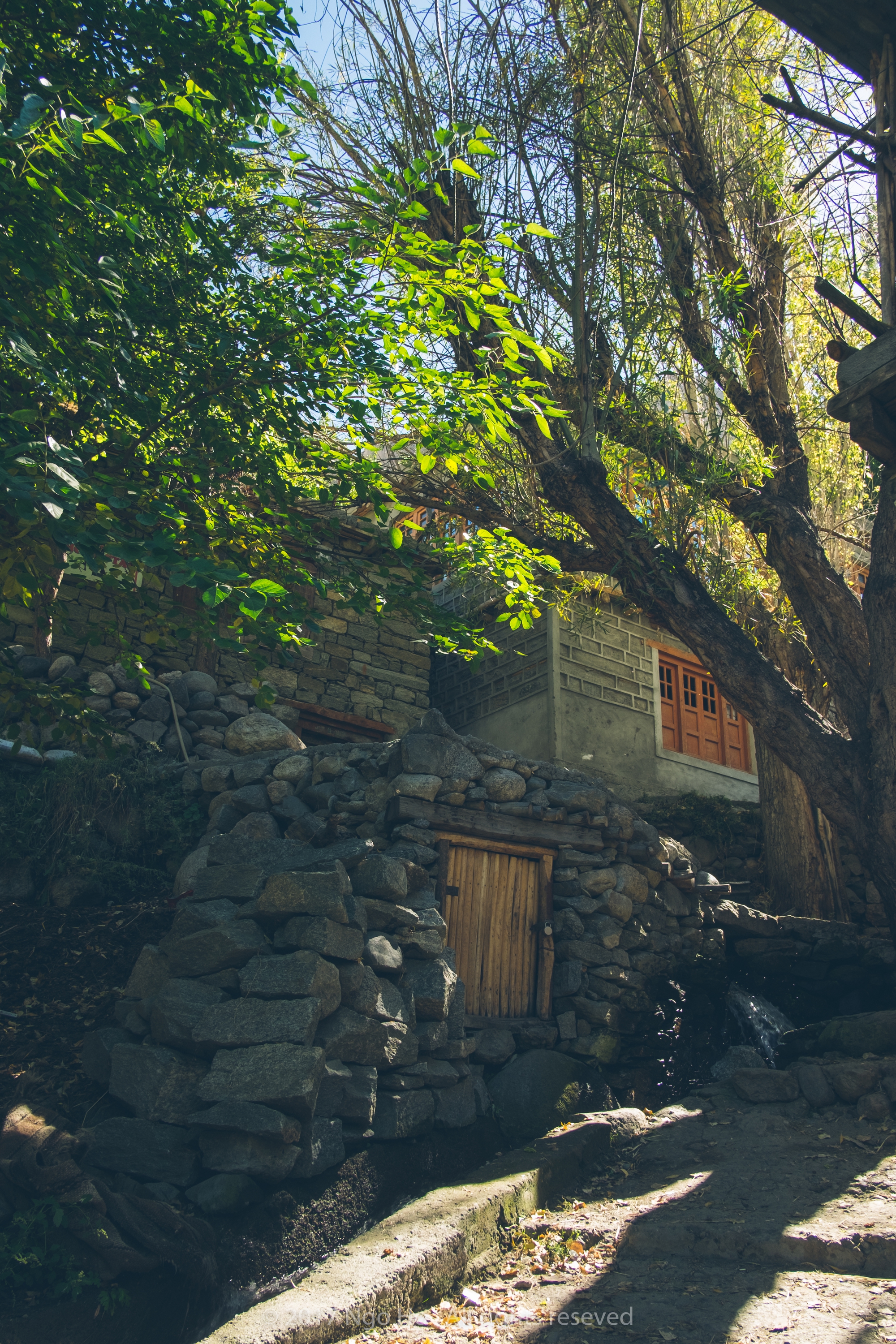 Turtuk - nét đẹp của ngôi làng nằm giữa biên giới Ấn Độ - Pakistan - Ảnh 6. Turtuk - nét đẹp của ngôi làng nằm giữa biên giới Ấn Độ - Pakistan