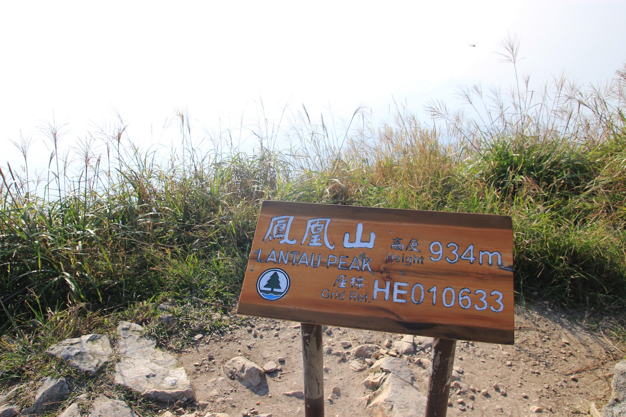 Đi trek ở Hong Kong - Ảnh 2. Đi trek ở Hong Kong