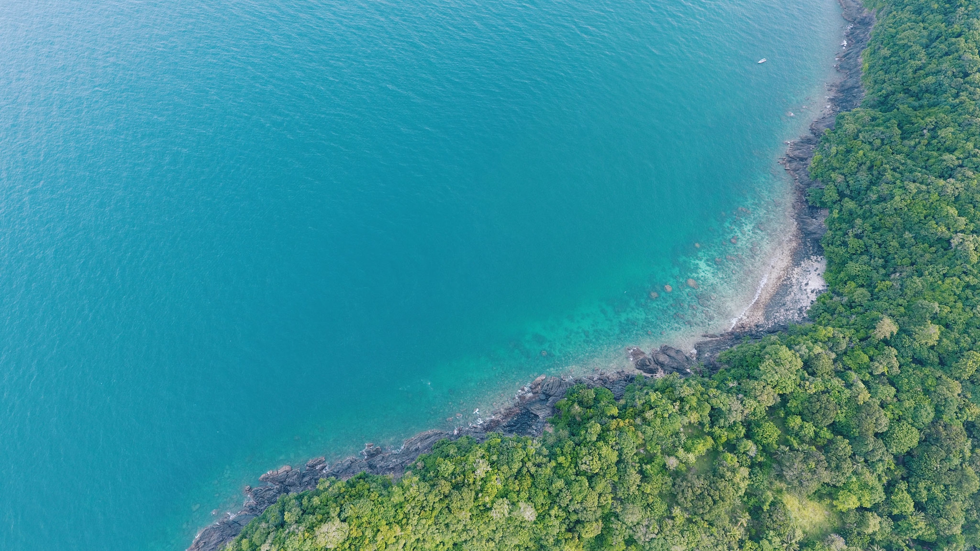 Tận hưởng cảnh đẹp mê ly ở Coral - đảo san hô đẹp nhất Thái Lan - Ảnh 5. Tận hưởng cảnh đẹp mê ly ở Coral - đảo san hô đẹp nhất Thái Lan