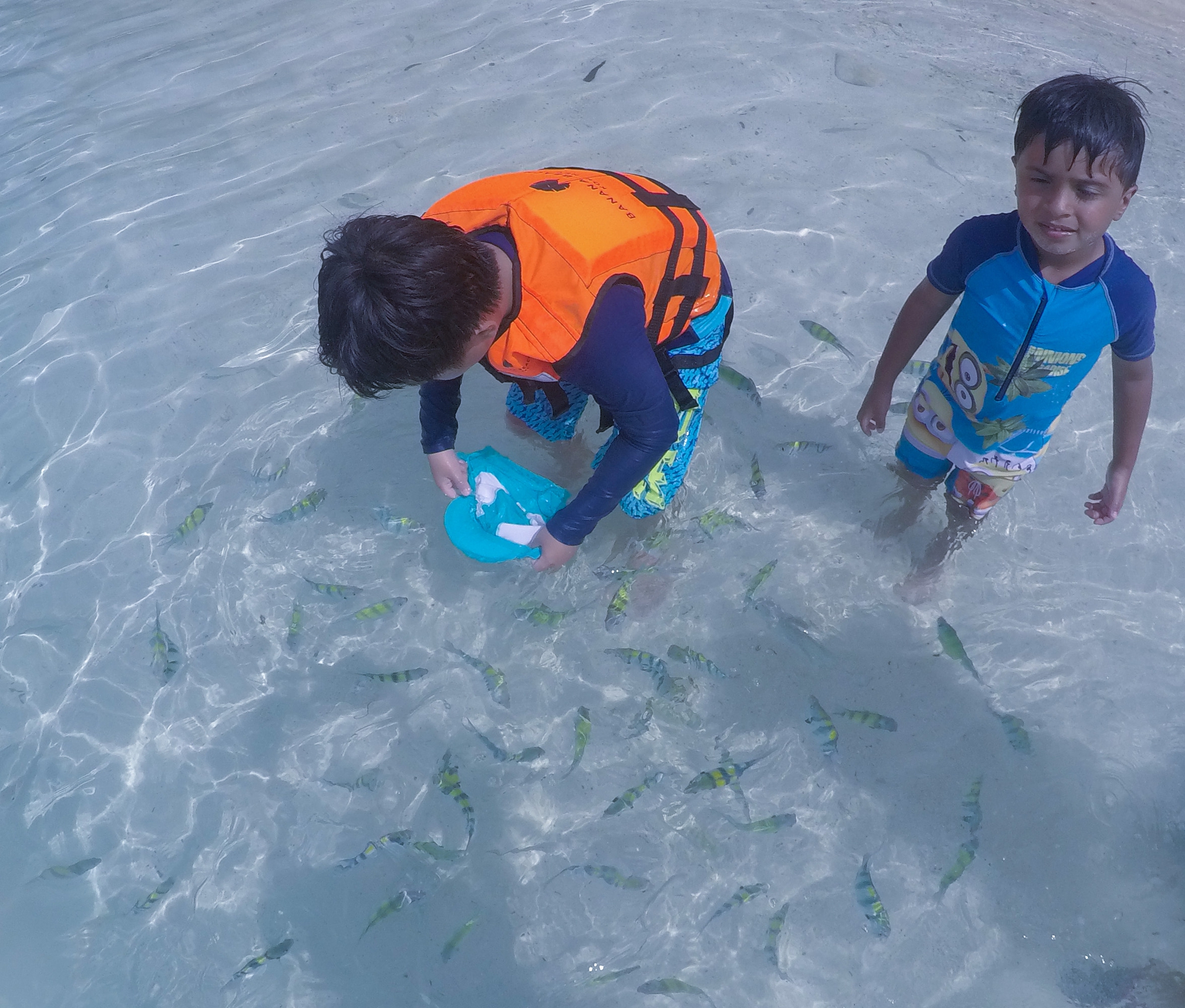 Tận hưởng cảnh đẹp mê ly ở Coral - đảo san hô đẹp nhất Thái Lan - Ảnh 6. Tận hưởng cảnh đẹp mê ly ở Coral - đảo san hô đẹp nhất Thái Lan