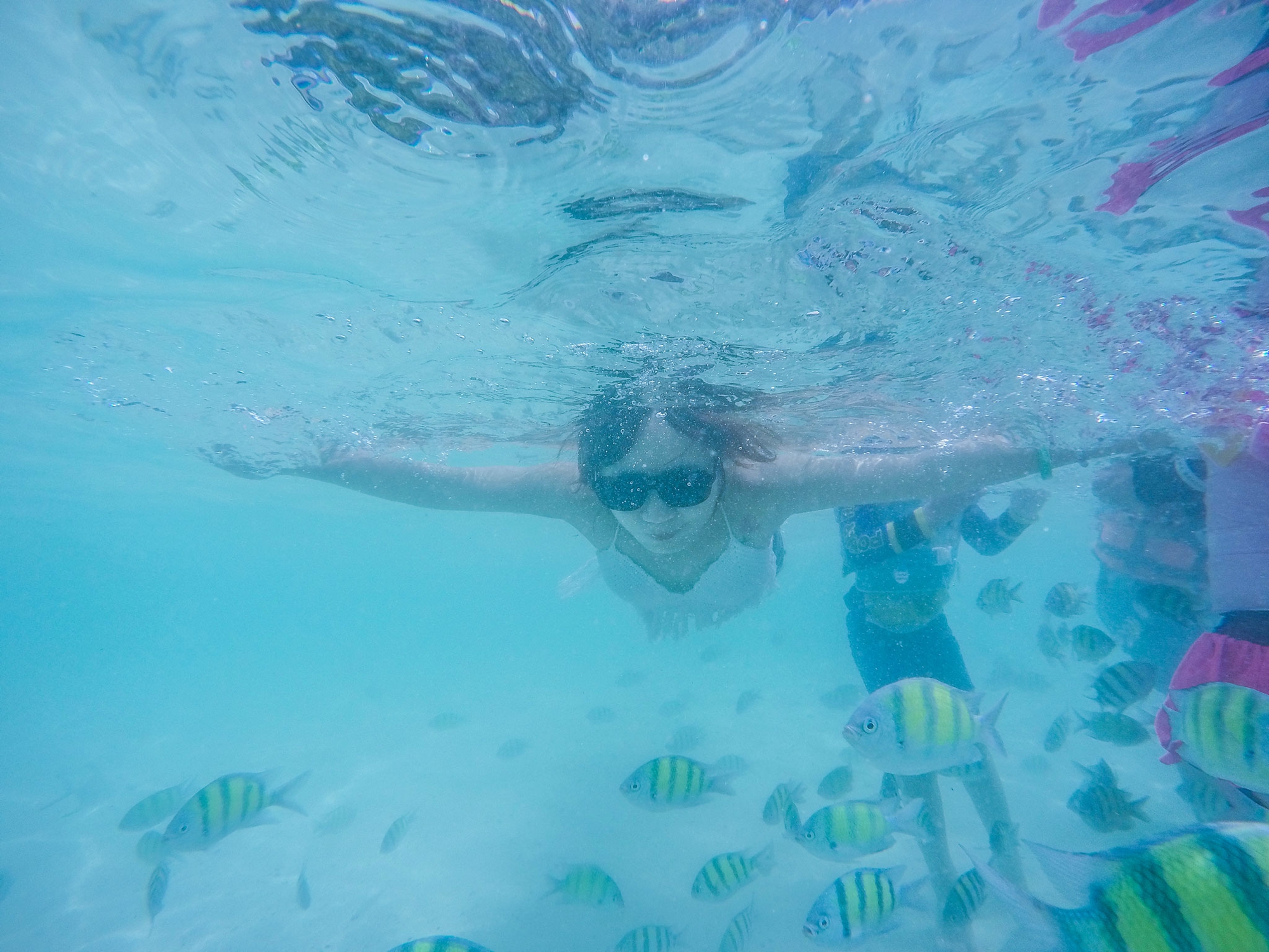 Tận hưởng cảnh đẹp mê ly ở Coral - đảo san hô đẹp nhất Thái Lan - Ảnh 7. Tận hưởng cảnh đẹp mê ly ở Coral - đảo san hô đẹp nhất Thái Lan