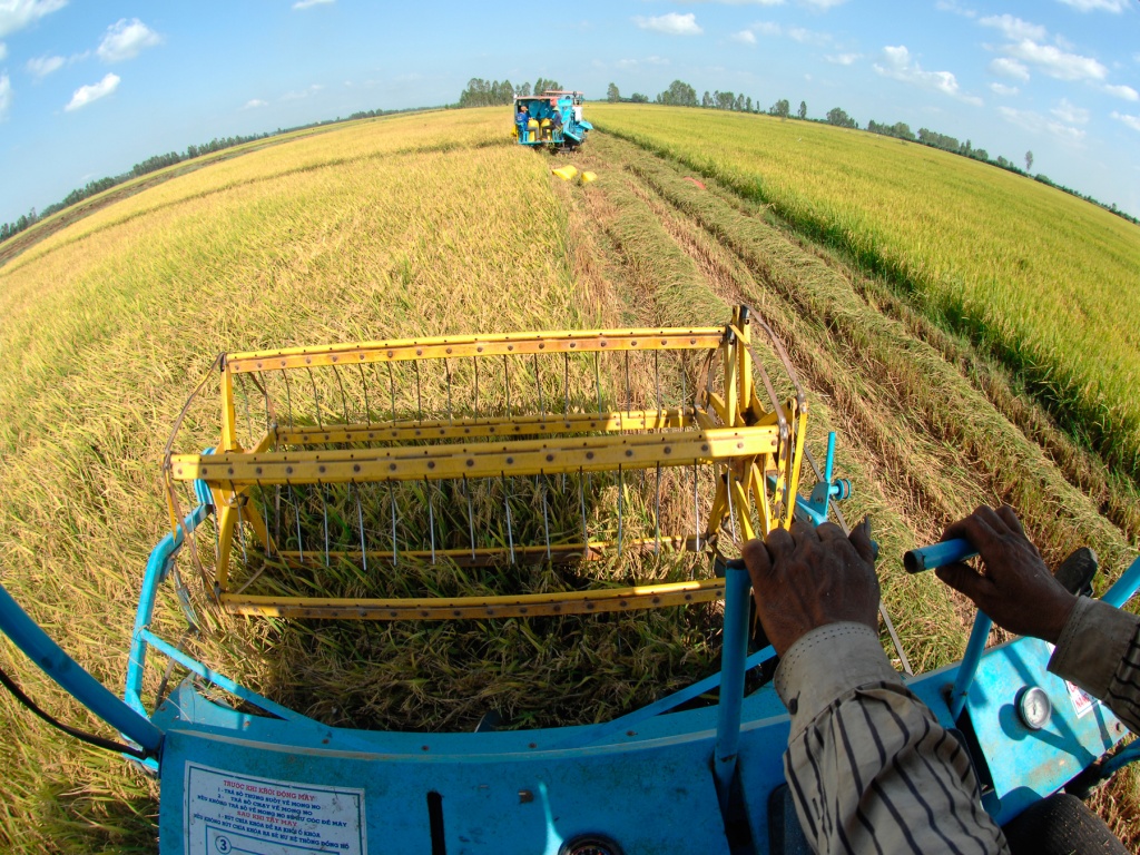 Dzìa Đồng Tháp, đi đâu chơi cho vui? - Ảnh 8. 'Dzìa' Đồng Tháp, đi đâu chơi cho vui?