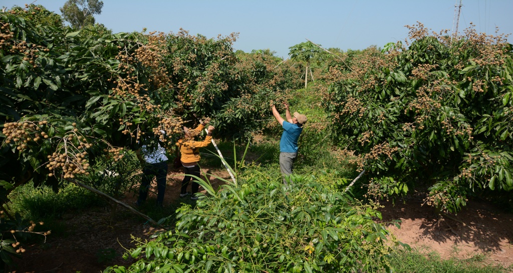 Dzìa Đồng Tháp, đi đâu chơi cho vui? - Ảnh 12. 'Dzìa' Đồng Tháp, đi đâu chơi cho vui?