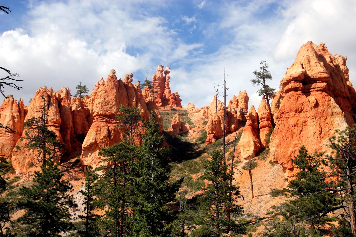 Màu sắc kỳ ảo ở công viên quốc gia Bryce - Ảnh 2. Màu sắc kỳ ảo ở công viên quốc gia Bryce