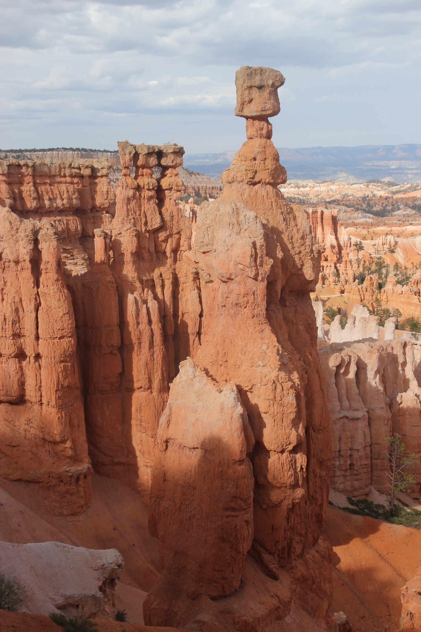 Màu sắc kỳ ảo ở công viên quốc gia Bryce - Ảnh 4. Màu sắc kỳ ảo ở công viên quốc gia Bryce