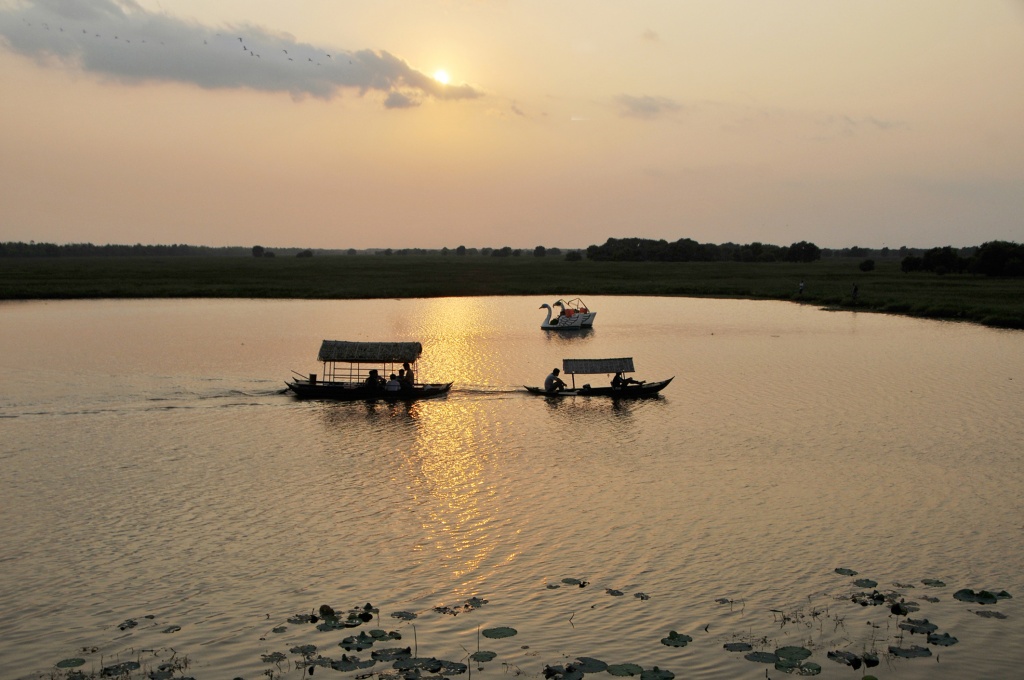 Dzìa Đồng Tháp, đi đâu chơi cho vui? - Ảnh 7. 'Dzìa' Đồng Tháp, đi đâu chơi cho vui?