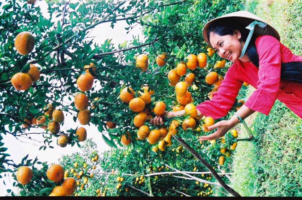 Dzìa Đồng Tháp, đi đâu chơi cho vui? - Ảnh 10. 'Dzìa' Đồng Tháp, đi đâu chơi cho vui?