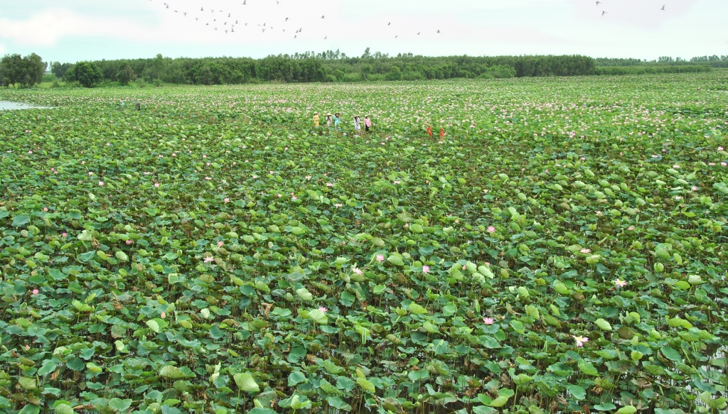 Dzìa Đồng Tháp, đi đâu chơi cho vui? - Ảnh 4. 'Dzìa' Đồng Tháp, đi đâu chơi cho vui?