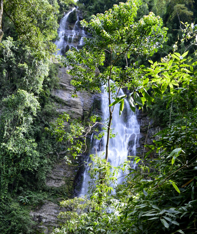 Vào Vườn quốc gia Xuân Sơn hoang sơ và hùng vĩ - Ảnh 1. Vào Vườn quốc gia Xuân Sơn hoang sơ và hùng vĩ