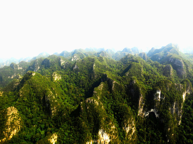 Bài thi Bản sắc Việt: Đến Phong Nha ngắm rừng bách xanh - Ảnh 1. Bài thi Bản sắc Việt: Đến Phong Nha ngắm rừng bách xanh - Ảnh 1.