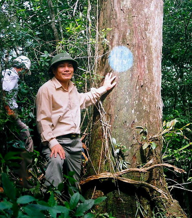 Bài thi Bản sắc Việt: Đến Phong Nha ngắm rừng bách xanh - Ảnh 2. Bài thi Bản sắc Việt: Đến Phong Nha ngắm rừng bách xanh - Ảnh 2.