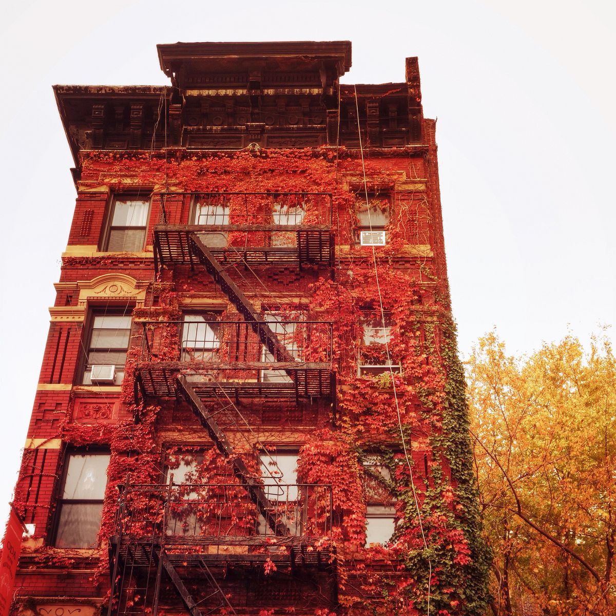 Em có nghe mùa thu ở New York - Ảnh 2. 'Em có nghe mùa thu' ở New York