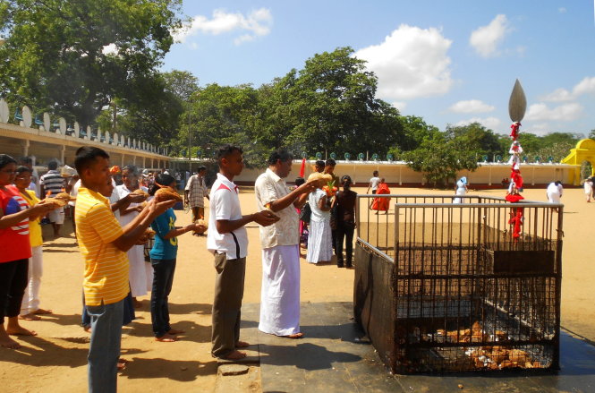 Khám phá miền Nam đảo quốc hình giọt lệ Sri Lanka - Ảnh 4. Khám phá miền Nam 'đảo quốc hình giọt lệ' Sri Lanka
