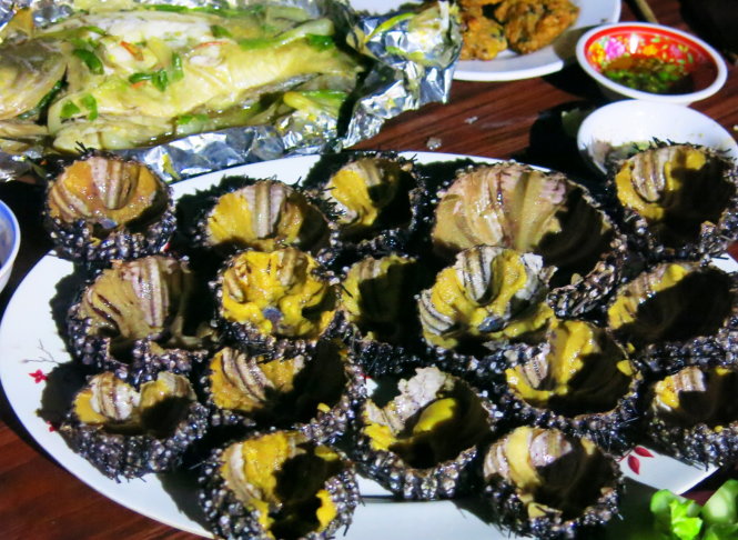 Về Bãi Che khi còn may mắn - Ảnh 5. Về Bãi Che khi còn may mắn