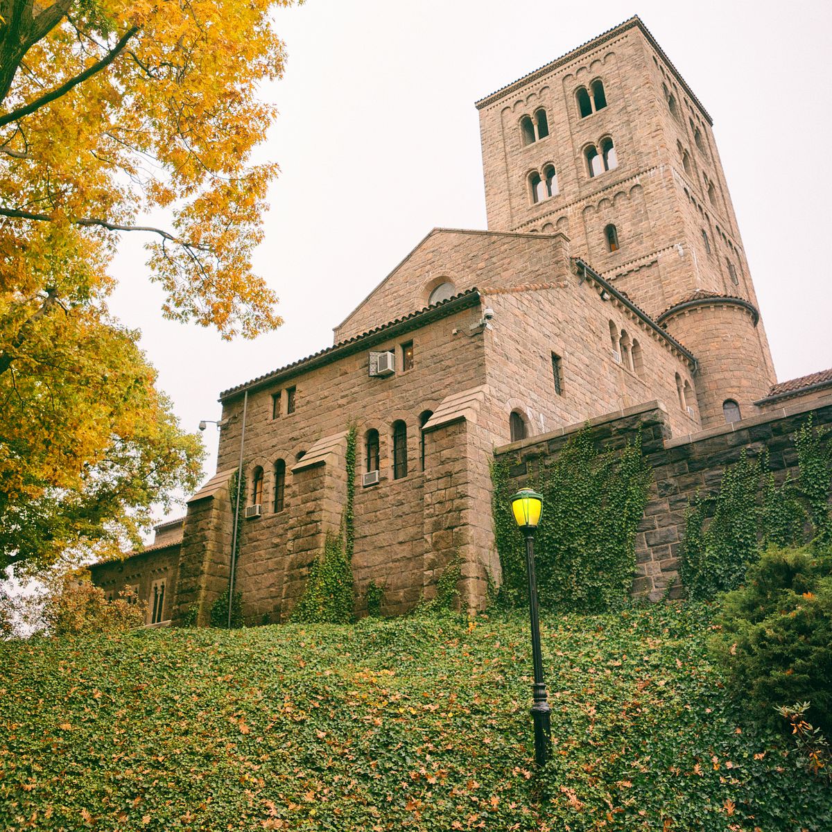 Em có nghe mùa thu ở New York - Ảnh 6. 'Em có nghe mùa thu' ở New York
