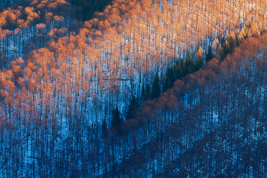Lặng người vẻ đẹp nơi biên giới Ba Lan - Slovakia - Ảnh 13. Lặng người vẻ đẹp nơi biên giới Ba Lan - Slovakia