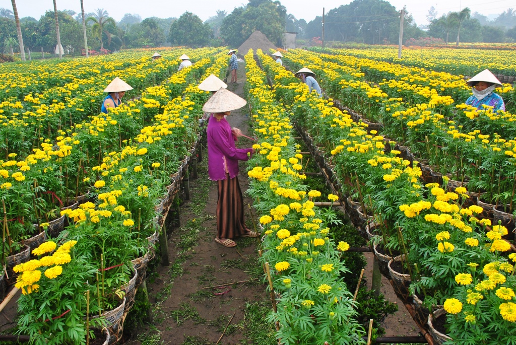 Dzìa Đồng Tháp, đi đâu chơi cho vui? - Ảnh 11. 'Dzìa' Đồng Tháp, đi đâu chơi cho vui?