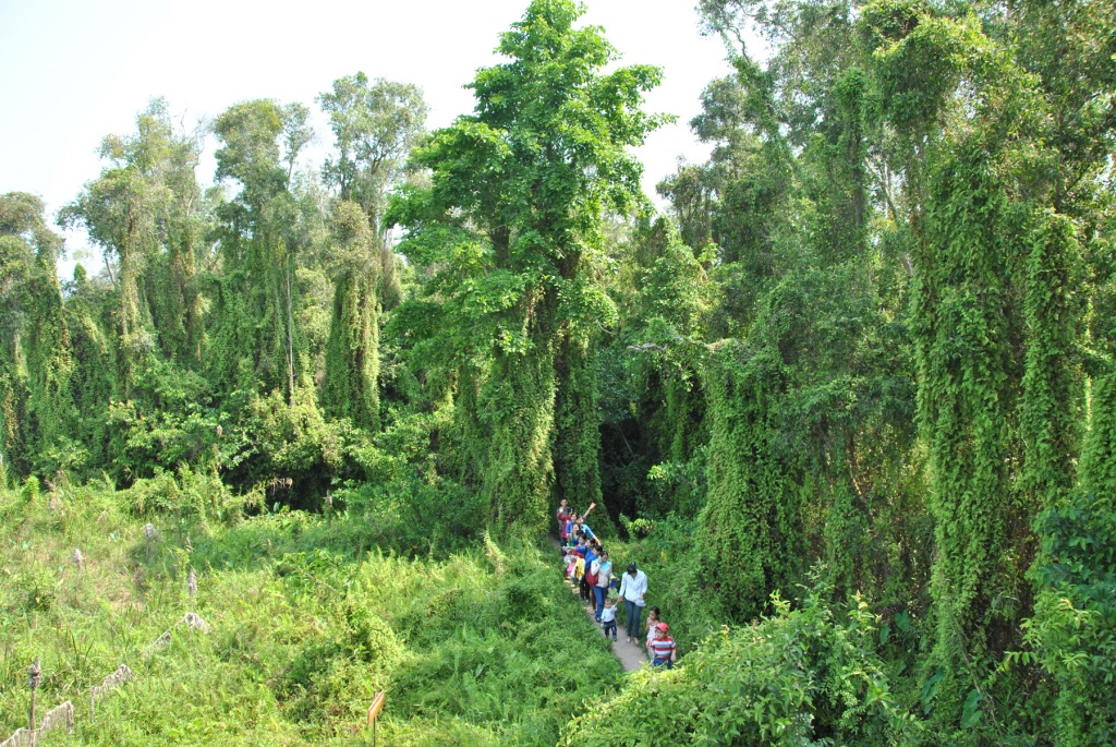 Dzìa Đồng Tháp, đi đâu chơi cho vui? - Ảnh 6. 'Dzìa' Đồng Tháp, đi đâu chơi cho vui?