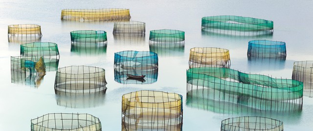 Những bức ảnh thiên nhiên đẹp đến nghẹt thở - Ảnh 5.