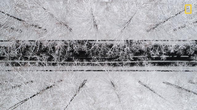Vị trí thứ hai trong danh mục này là bức ảnh những thân cây phủ đầy tuyết trắng ở Takashima ( Nhật Bản), chụp bởi Takahiro Bessho. 