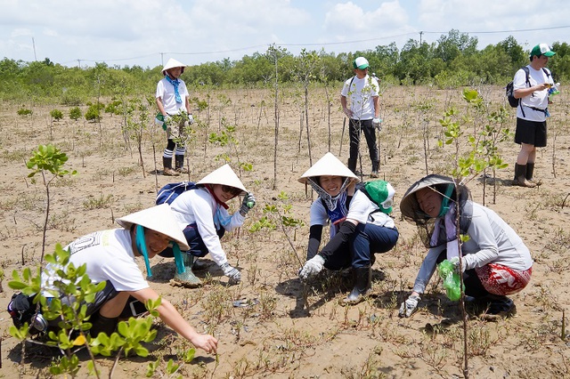 Rủ nhau đi Cần Giờ trồng rừng, tại sao không? - Ảnh 2. Rủ nhau đi Cần Giờ trồng rừng, tại sao không? - Ảnh 2.