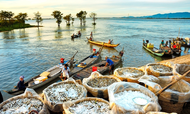 Thế giới tuyệt đẹp qua ảnh của các tay máy Việt Nam - Ảnh 5. Thế giới tuyệt đẹp qua ảnh của các tay máy Việt Nam - Ảnh 5.