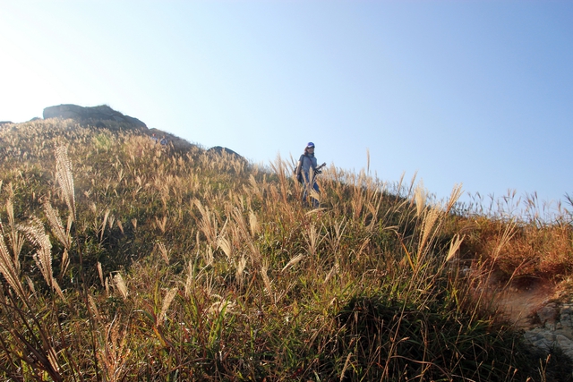 Đi trek ở Hong Kong