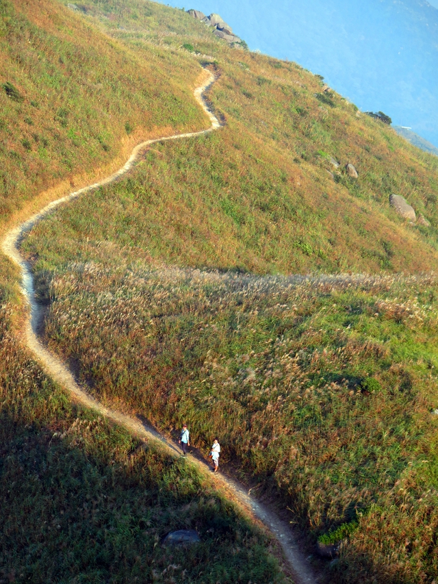 Đi trek ở Hong Kong