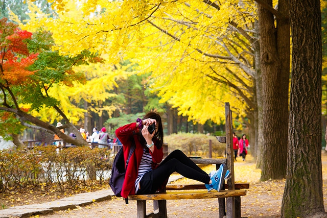 Du lịch Việt giảm giá 50% nhiều tour du lịch mùa thu ở châu Âu, Nhật, Hàn Quốc... - Ảnh 3. Du lịch Việt giảm giá 50% nhiều tour du lịch mùa thu ở châu Âu, Nhật, Hàn Quốc... - Ảnh 3.