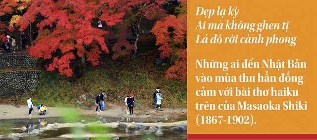Rừng phong thu đã nhuộm màu quan san - Ảnh 1. Rừng phong thu đã nhuộm màu quan san - Ảnh 1.