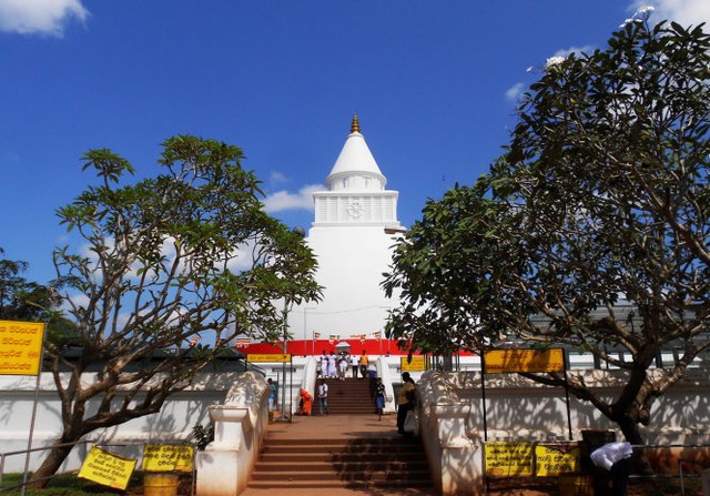 Khám phá miền Nam đảo quốc hình giọt lệ Sri Lanka - Ảnh 2.