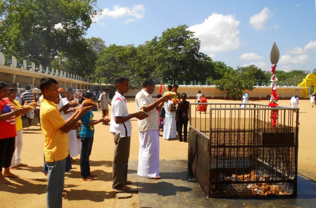Khám phá miền Nam đảo quốc hình giọt lệ Sri Lanka - Ảnh 4.