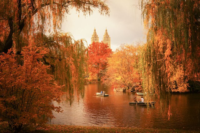 'Em có nghe mùa thu' ở New York