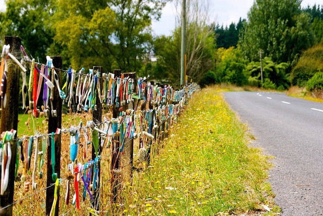 Hàng rào áo ngực phụ nữ đốt mắt quý ông ở New Zealand - Ảnh 4. Hàng rào áo ngực phụ nữ đốt mắt quý ông ở New Zealand - Ảnh 4.