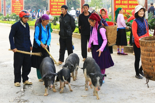 Du ngoạn Hà Giang, ngắm đồng bào đi chợ vùng cao - Ảnh 6. Du ngoạn Hà Giang, ngắm đồng bào đi chợ vùng cao - Ảnh 6.