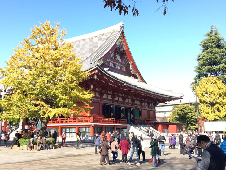 Đi Nhật Bản ngắm ‘mùa thu lá bay’ chỉ với 21 triệu - Ảnh 1.