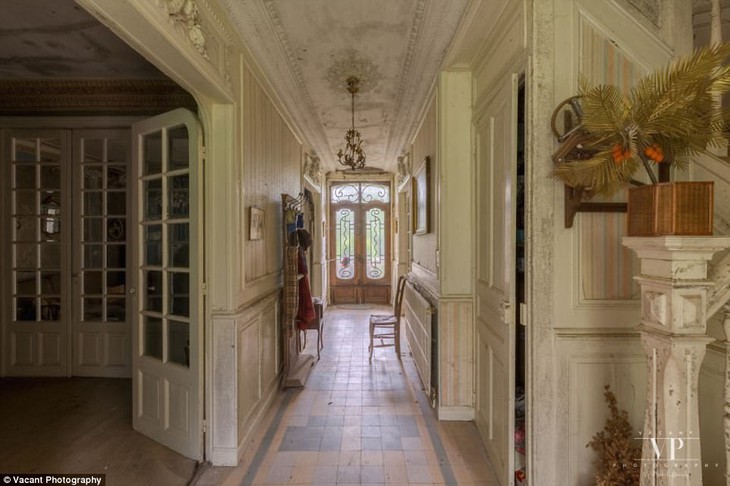 Tham quan căn nhà bị bỏ hoang 20 năm ở Pháp giá 3 tỉ đồng - Ảnh 3.