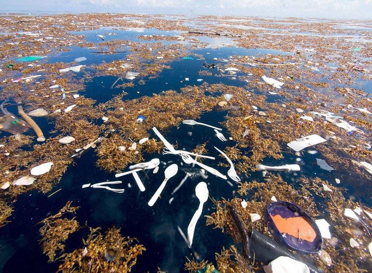 Rác thải làm ô nhiễm biển ở đảo du lịch nổi tiếng - Ảnh 2.