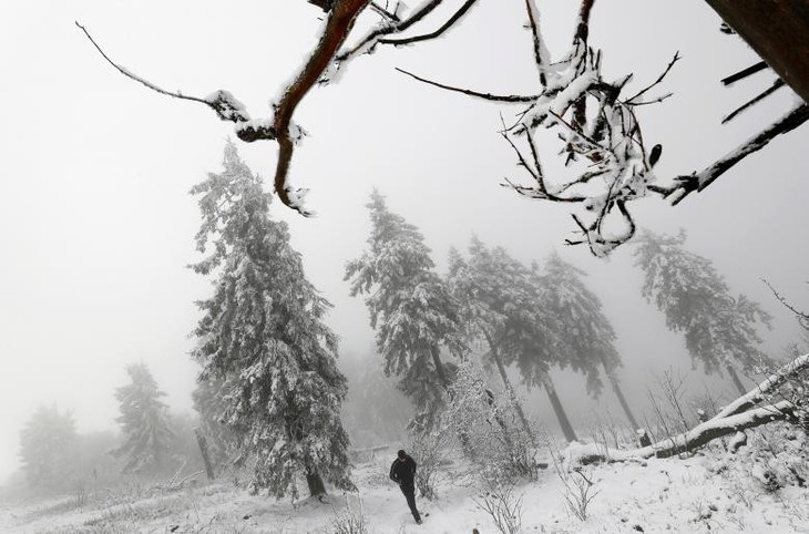 Tuyết đầu mùa khắp châu Âu, Mỹ - Ảnh 7.