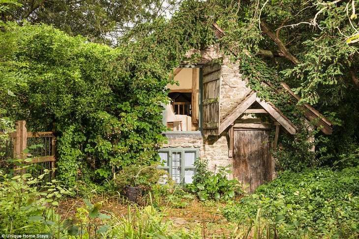 Thăm căn nhà 500 năm tuổi nằm giữa rừng sâu ở Anh - Ảnh 4.