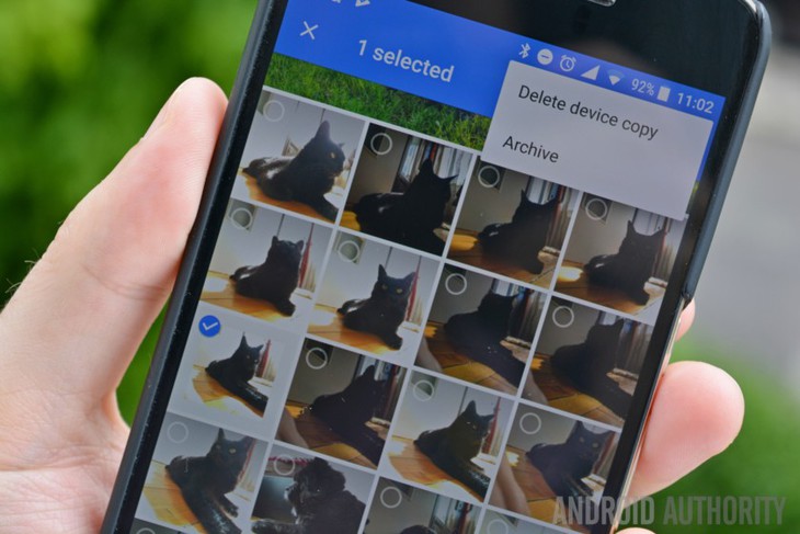 Google Photos có thể nhận diện thú cưng của bạn - Ảnh 1.