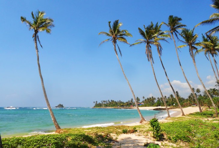 Khám phá miền Nam đảo quốc hình giọt lệ Sri Lanka - Ảnh 3.